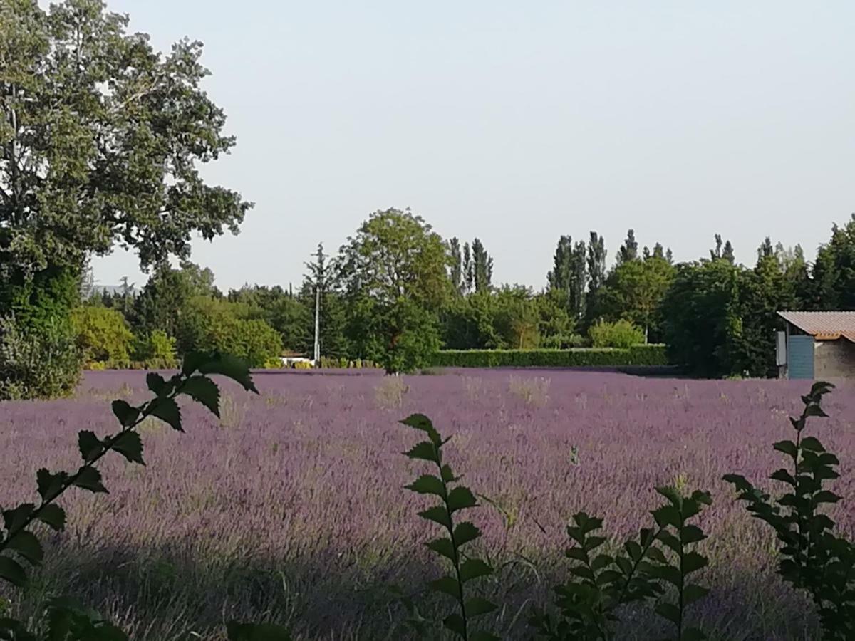 Bed and Breakfast Au Pays Du Ventoux Ле-Тор Экстерьер фото